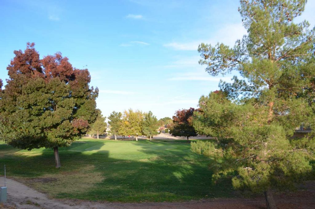 GOLF COURSE VIEWS